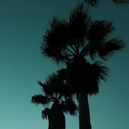 eudoxie-venicebeach